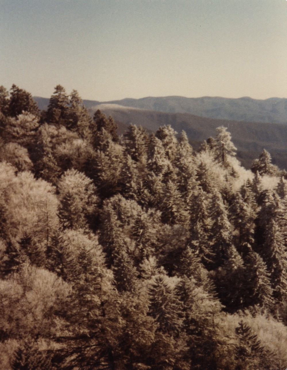 1981_c_smokies_i .jpg