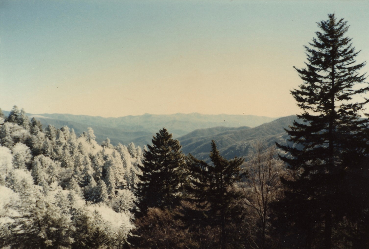 1981_c_smokies_i .jpg