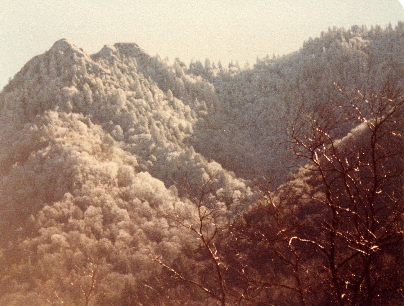 1981_c_smokies_iced_07.jpg