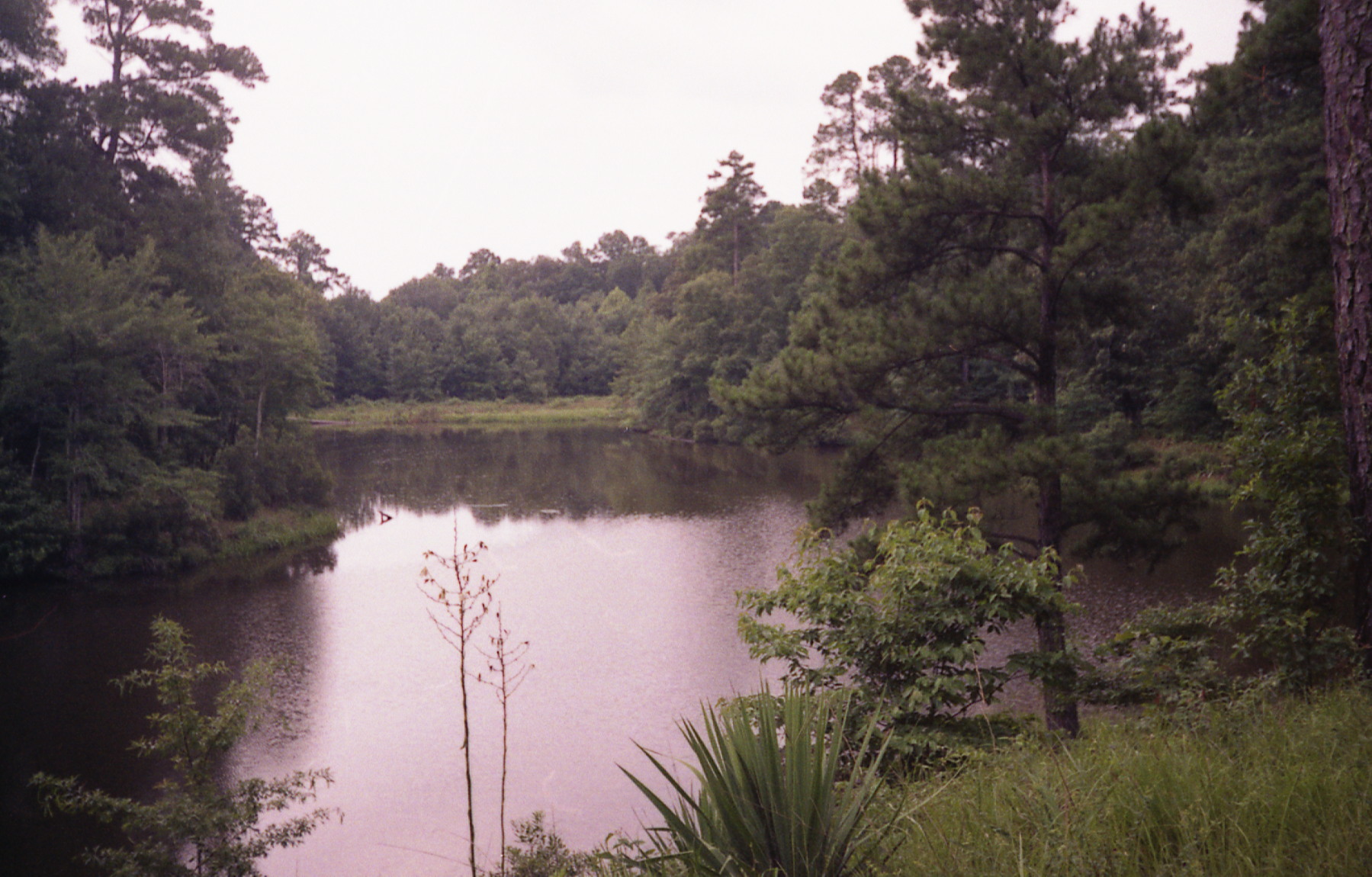 1991_natchez_03.jpg