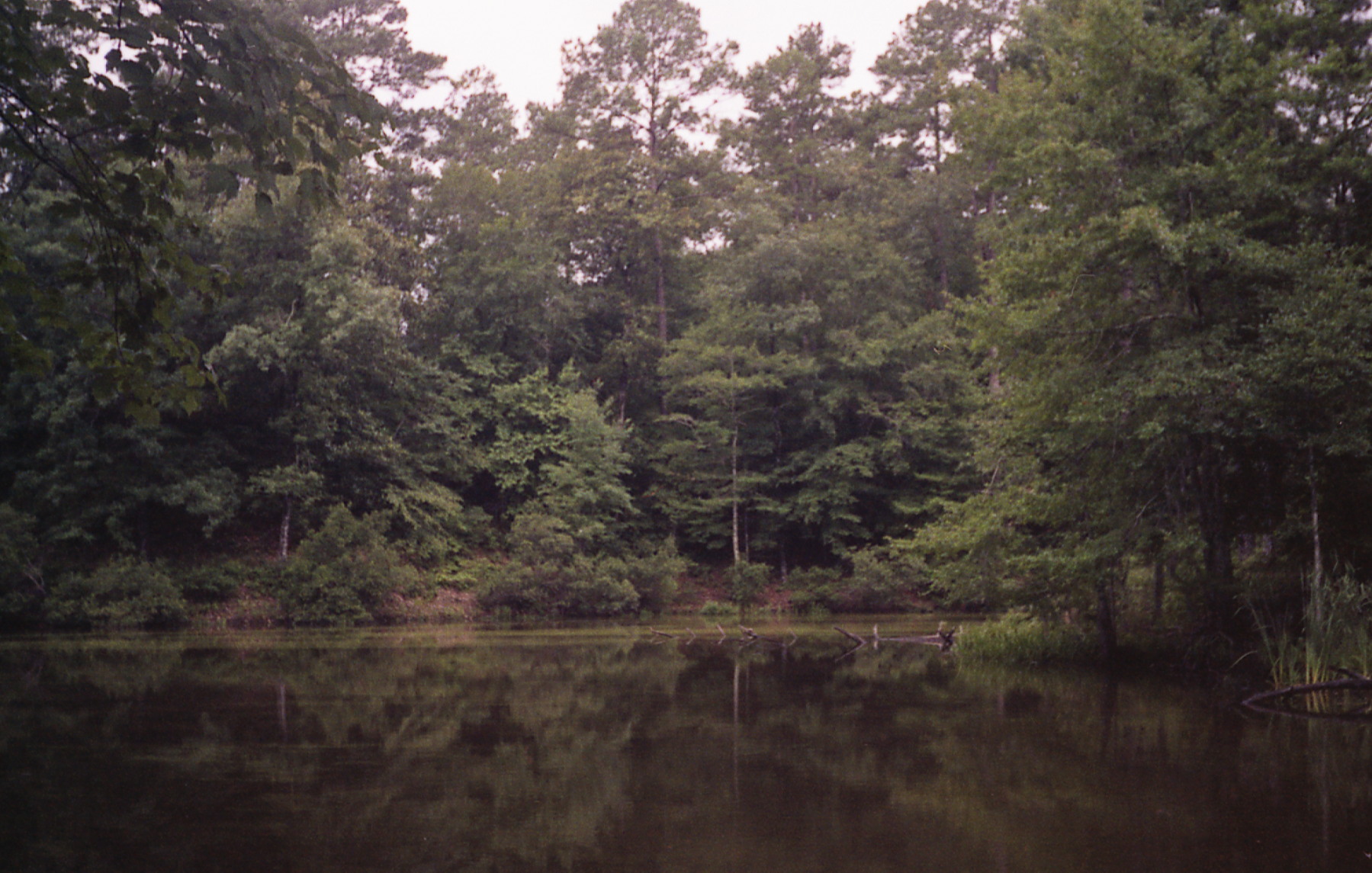 1991_natchez_05.jpg