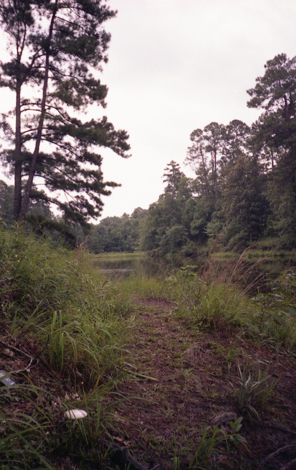 1991_natchez_07.jpg