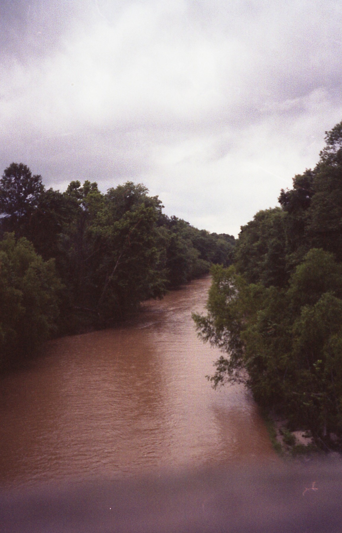 1991_natchez_08.jpg