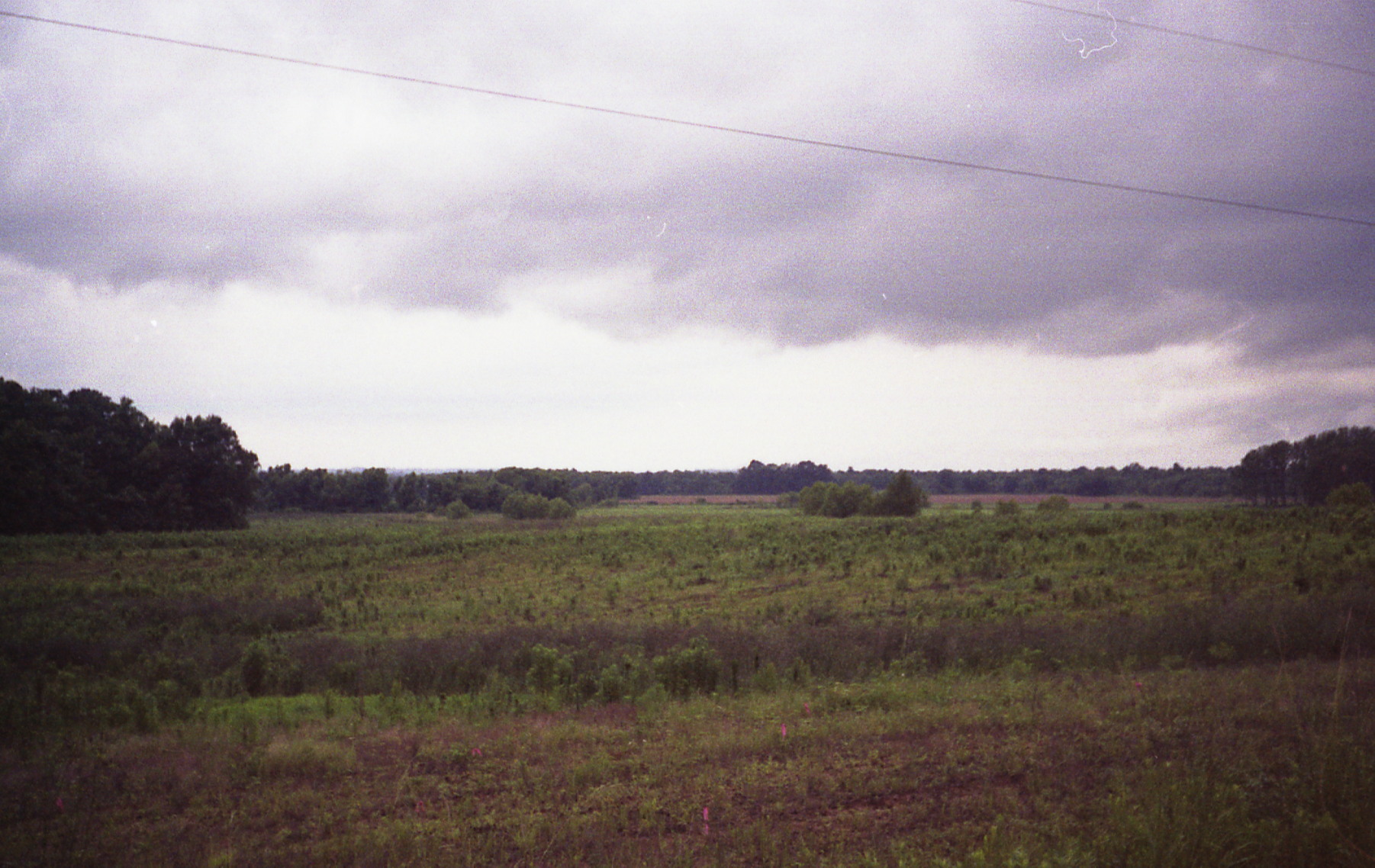 1991_natchez_09.jpg