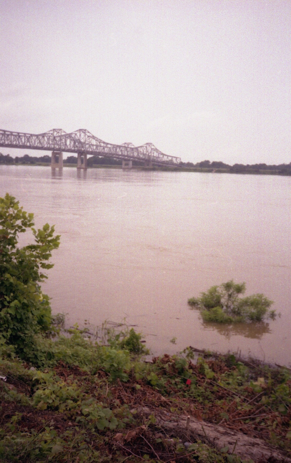 1991_natchez_12.jpg