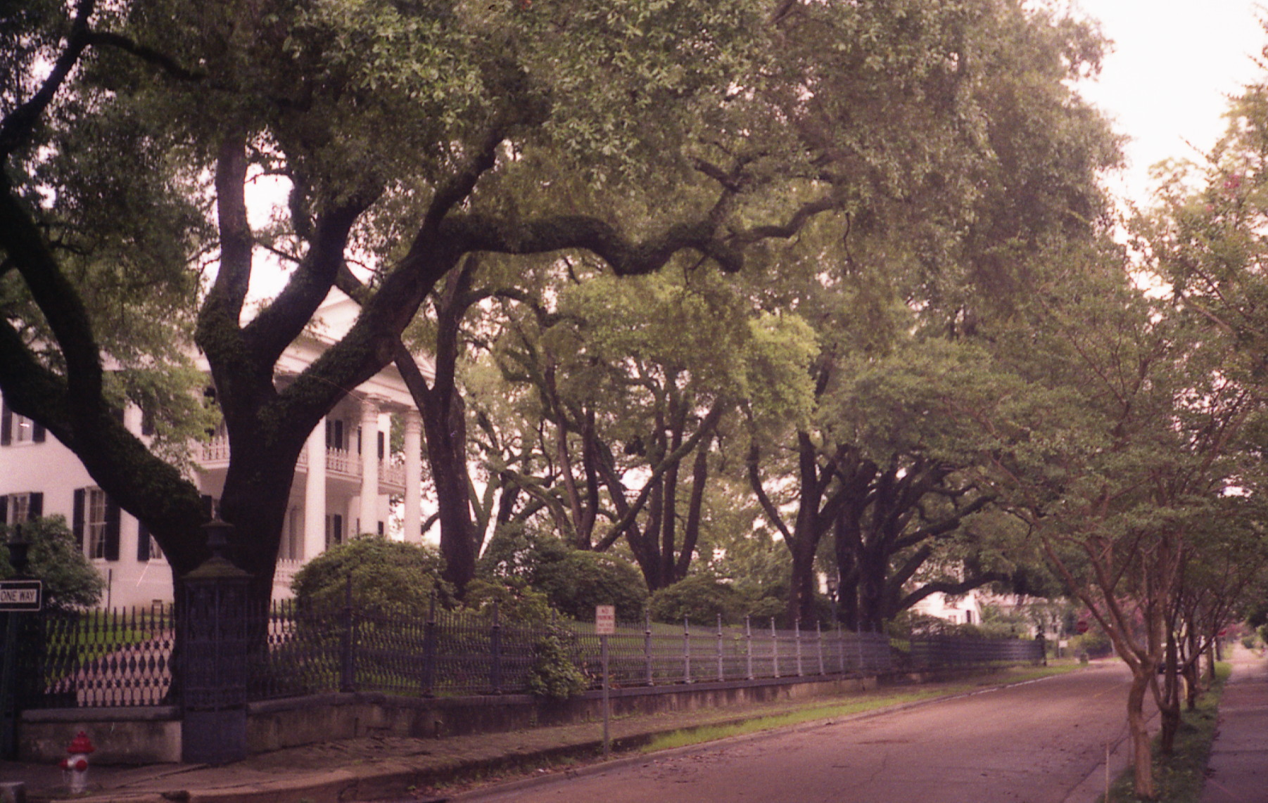 1991_natchez_14.jpg