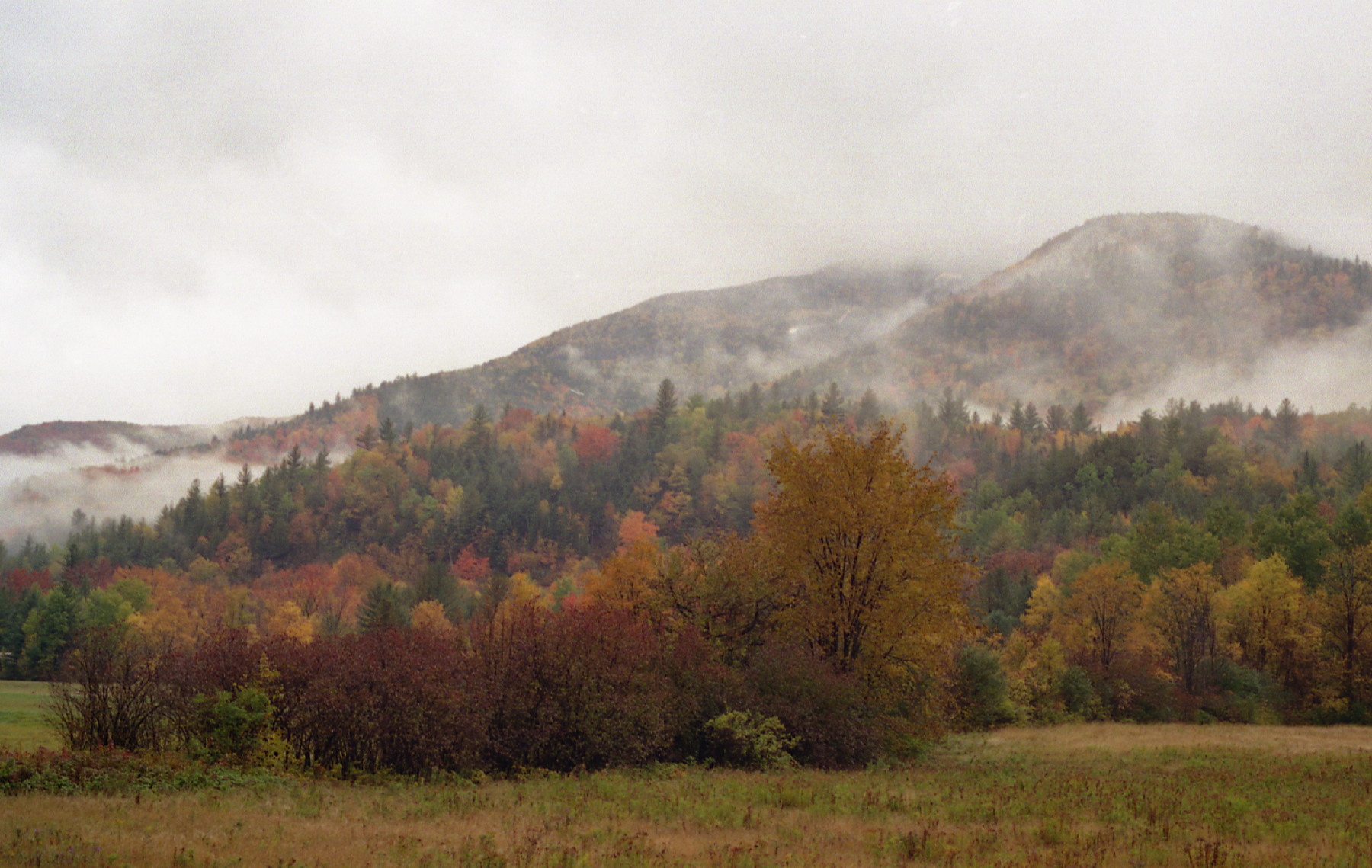 1995_c_adirondacks_01.jpg