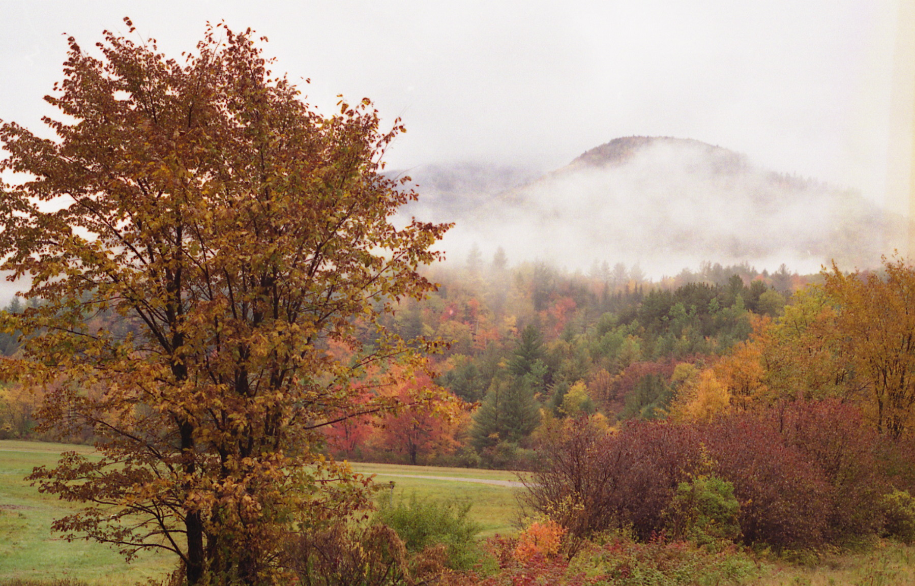 1995_c_adirondacks_.jpg