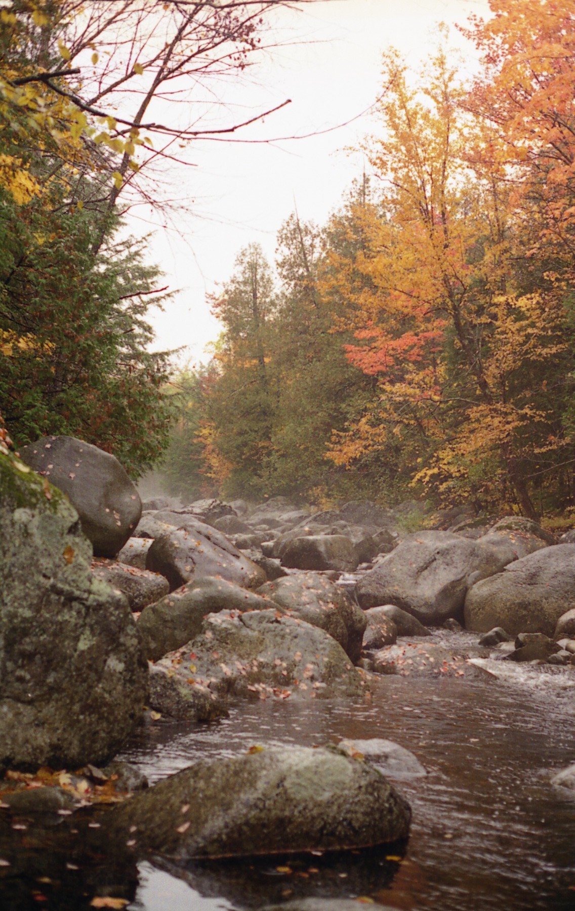 1995_c_adirondacks_.jpg