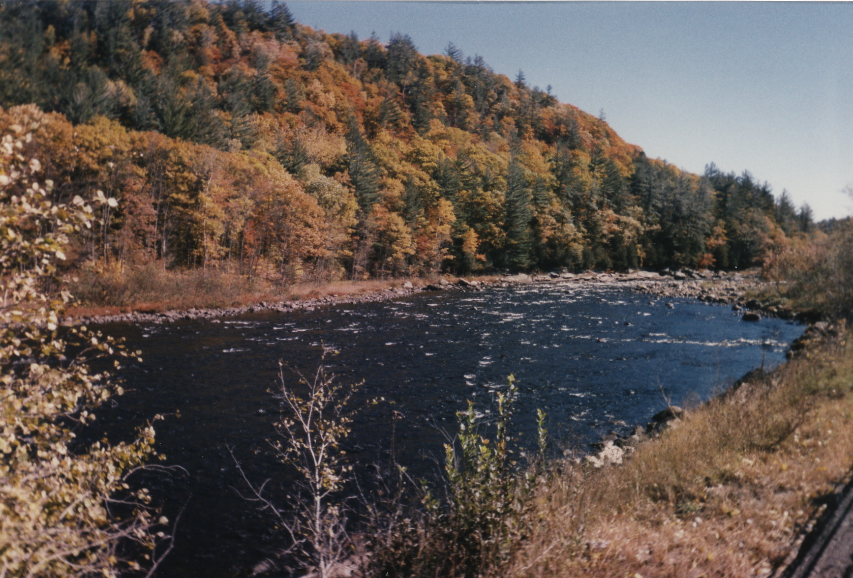 1995_c_adirondacks_.jpg