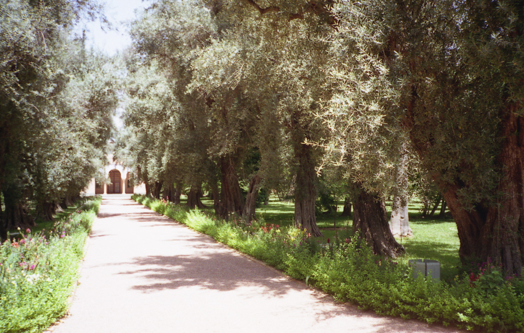 1995_morocco_01.jpg