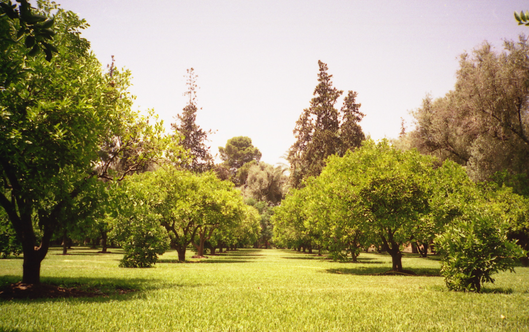 1995_morocco_15.jpg