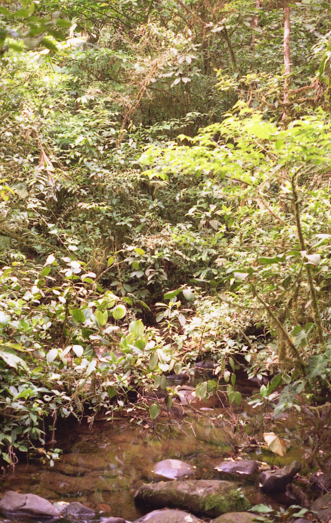 1997_costa_rica_07.jpg