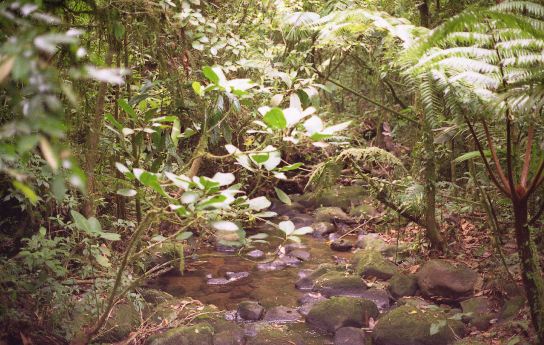 1997_costa_rica_15.jpg