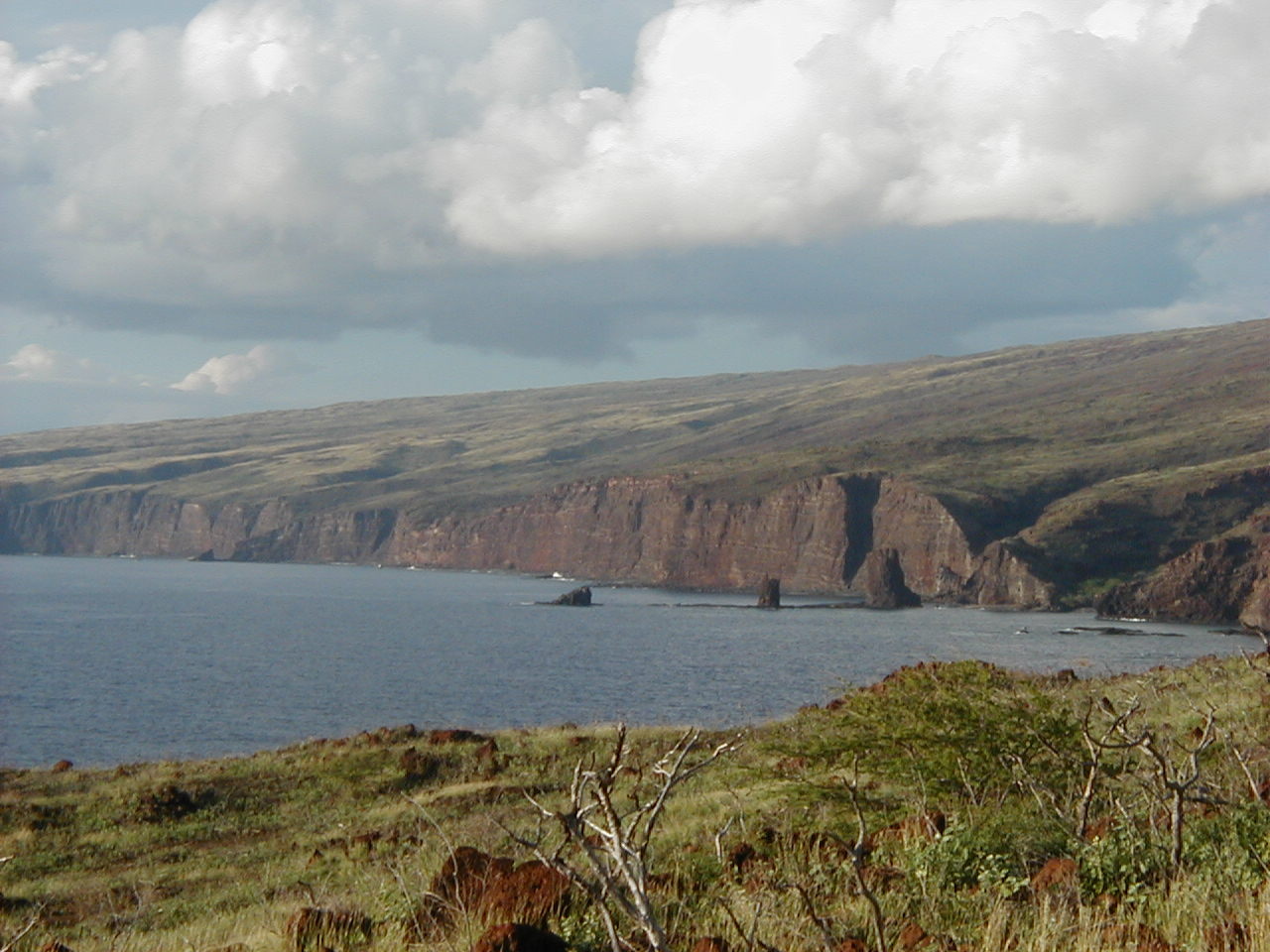 2002_lanai_10.jpg